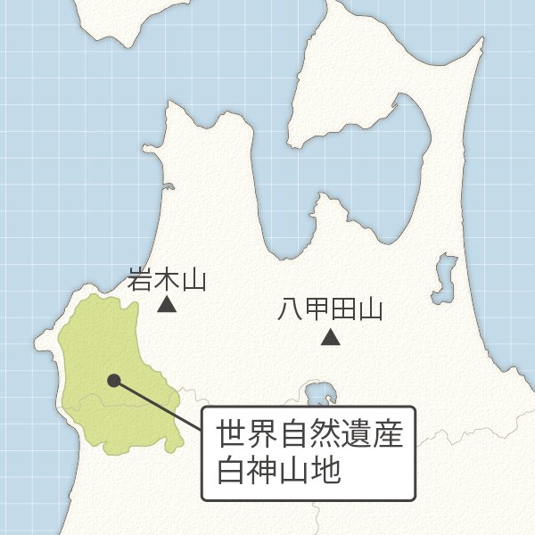 世界自然遺産 白神山地って?